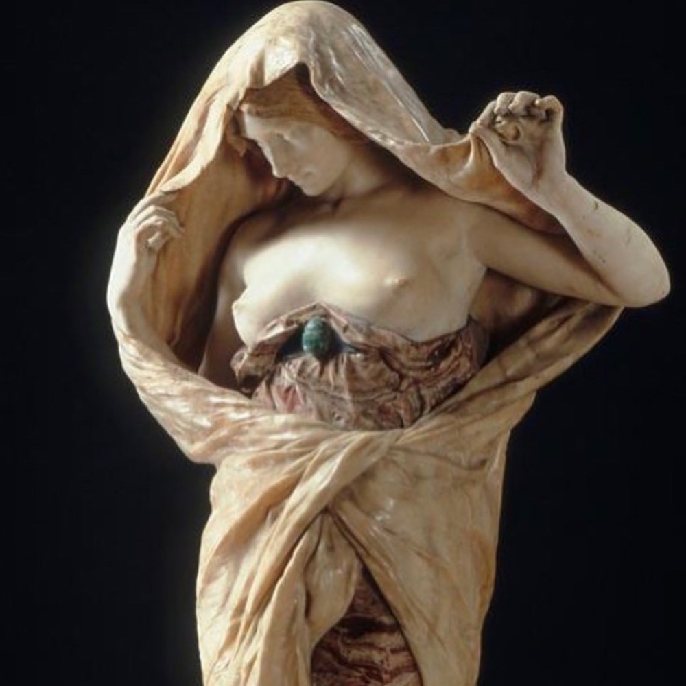 Meet your Posher, Phoebe